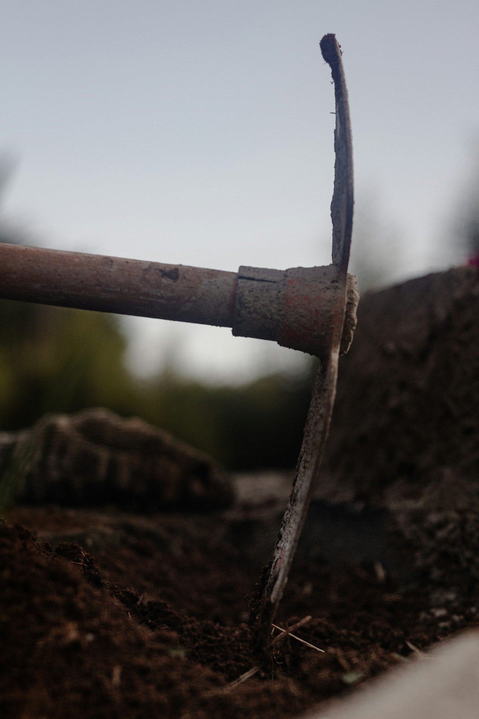 On Breaking Ground – A Paige Turner Brain Exercise